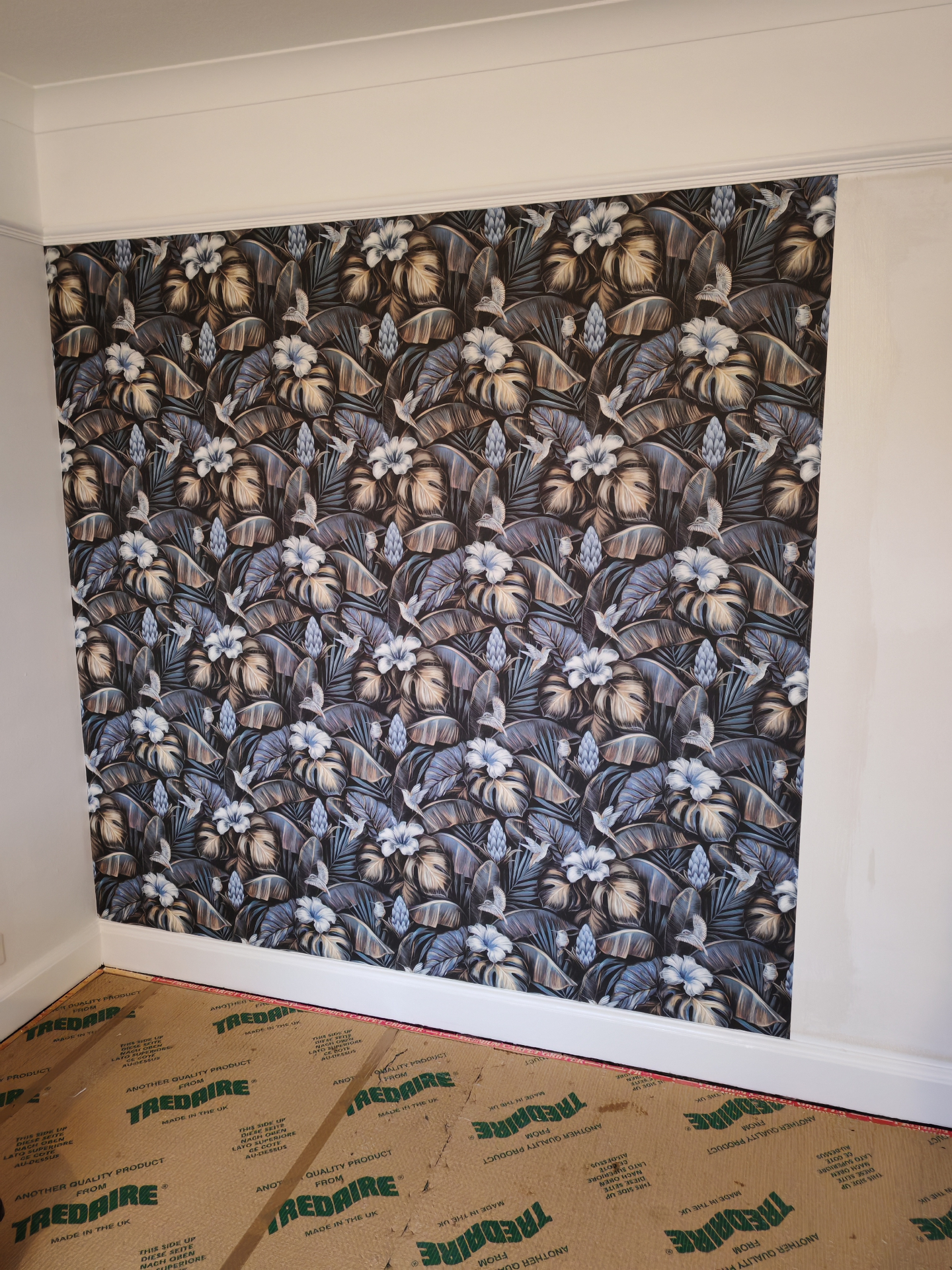 Feature wall with tropical hummingbird wallpaper, in progress
