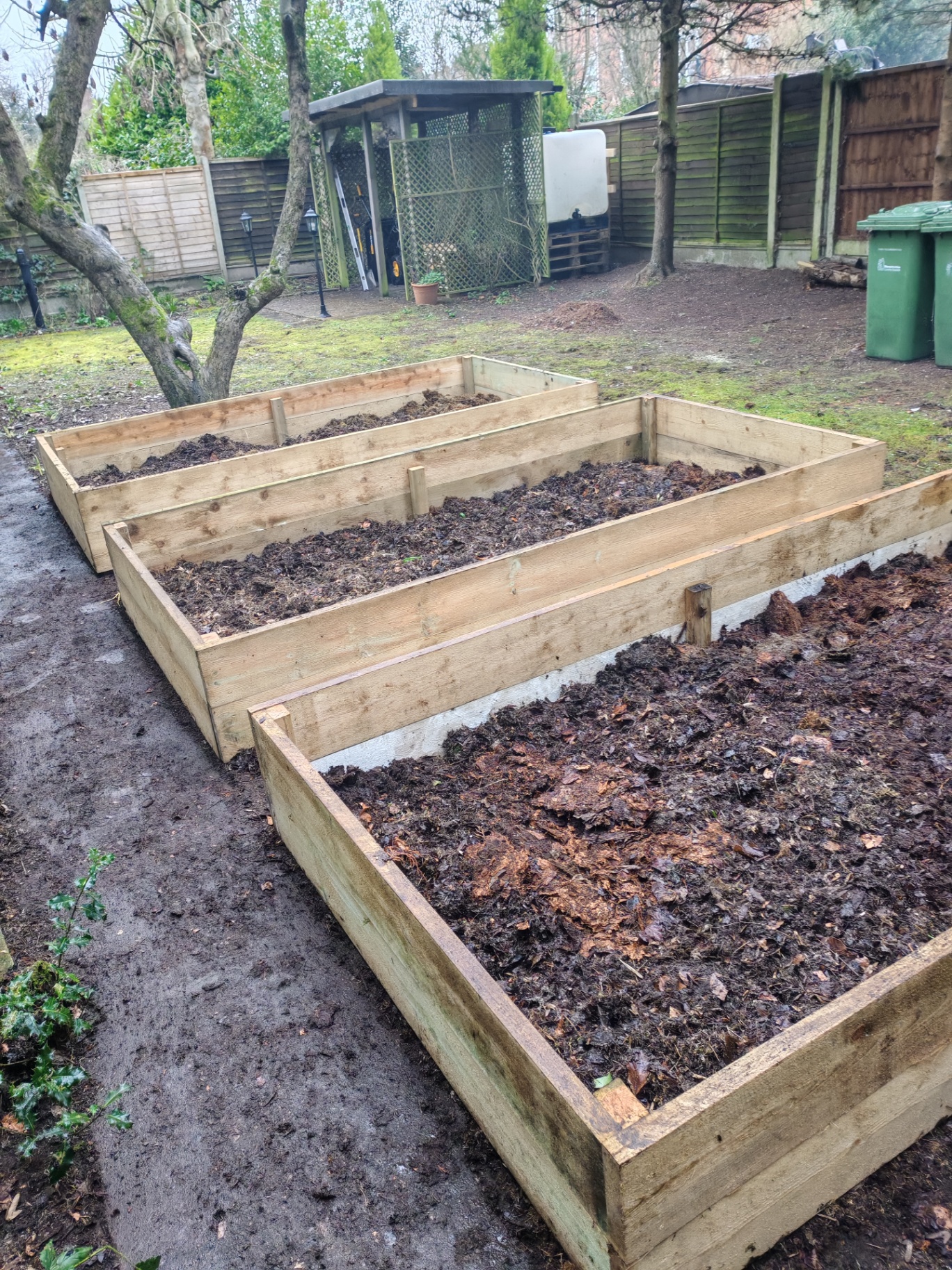 Finished raised vegetable beds, topped and ready to plant