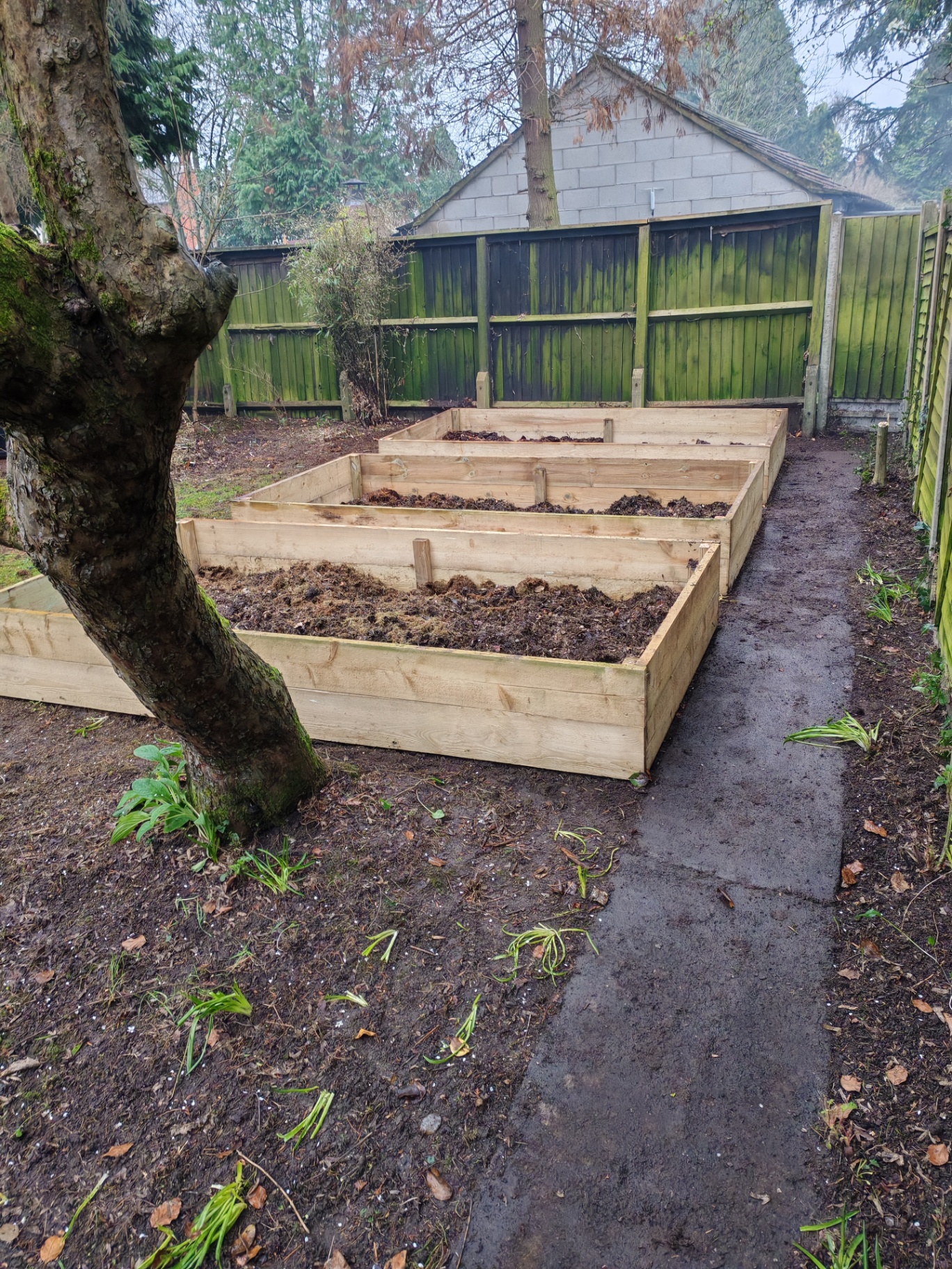 Multiple raised beds installed and filled with compost